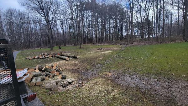 Dave & Son Tree and Land Management