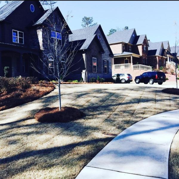 Georgia Deep Roots Landscaping