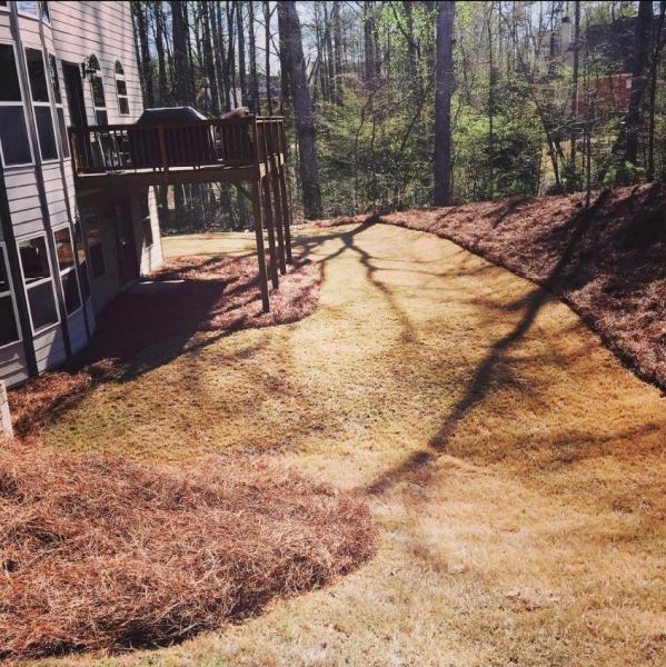 Georgia Deep Roots Landscaping