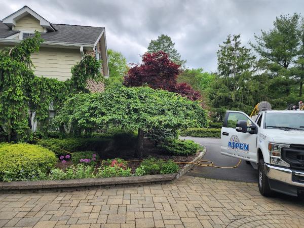 Aspen Tree Services Inc.