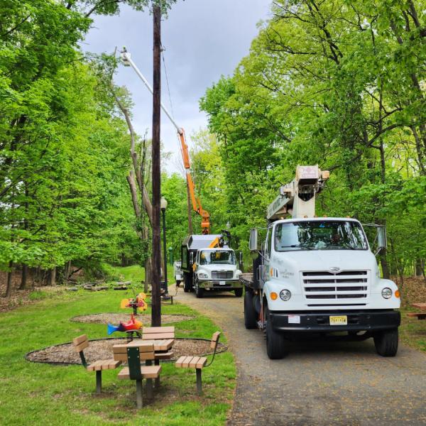 Aspen Tree Services Inc.