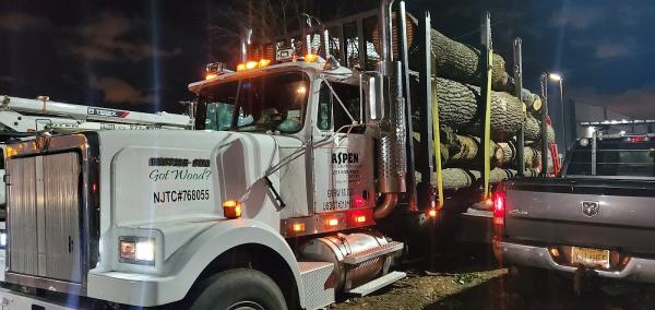 Aspen Tree Services Inc.