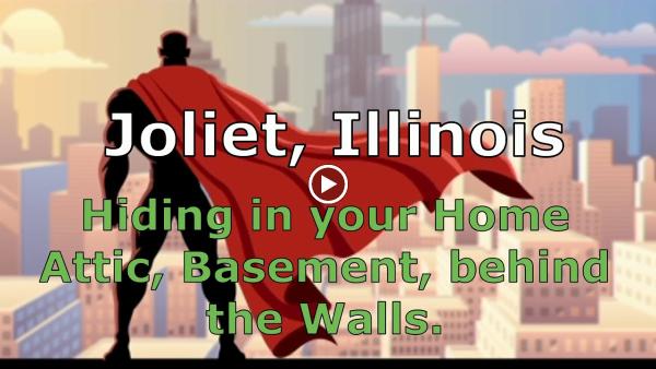 Joliet Mold Inspections