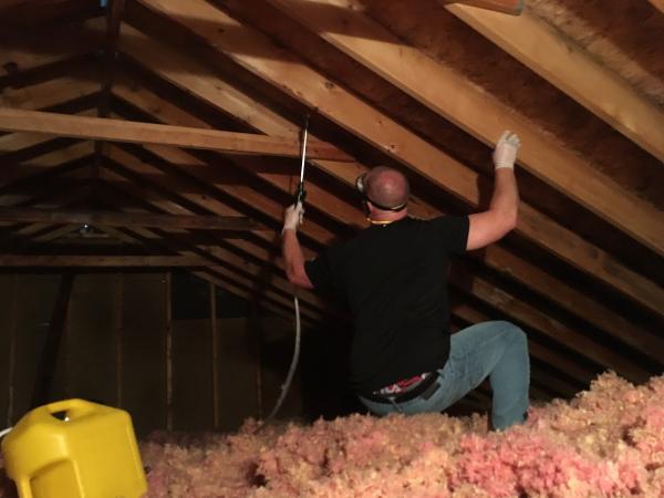 Joliet Mold Inspections