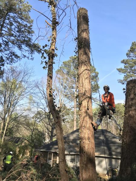 Southern Touch Tree Service