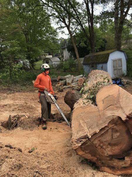 Southern Touch Tree Service