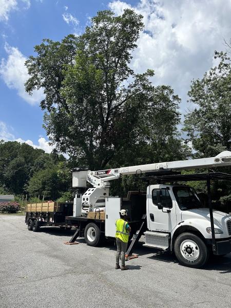 Southern Touch Tree Service