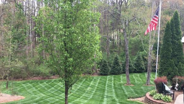 Edwin's Landscaping