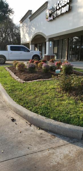 Houston Gulf Coast Exterminators