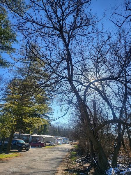 Jpd Tree Service