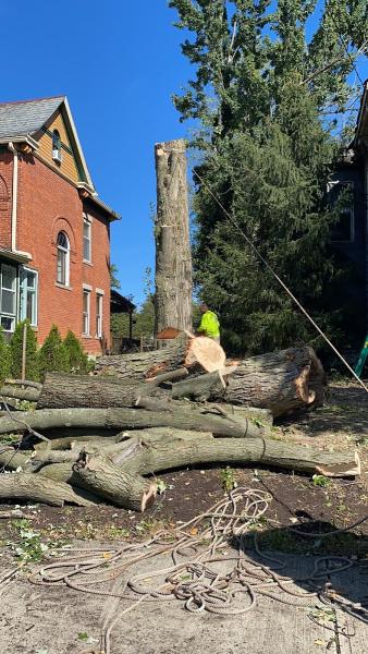Jpd Tree Service