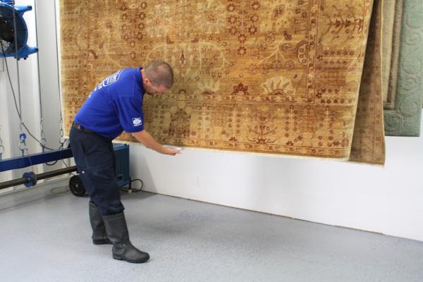 Cole's Carpet & Upholstery Co