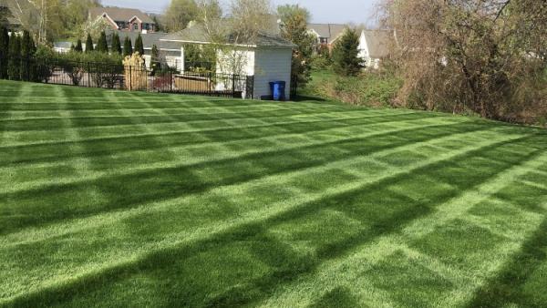 Premier Lawn Solutions