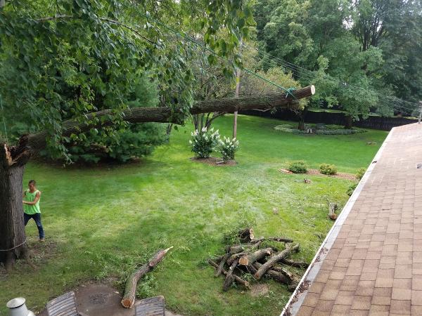Jake's Top Notch Tree Service LLC