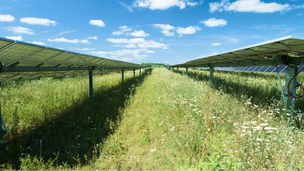 OYA Solar Inc.
