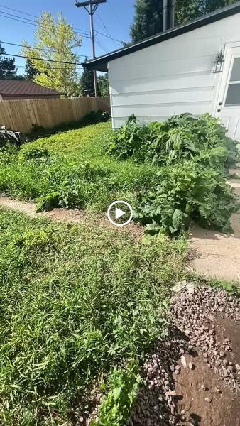Incline Landscaping & Lawn Maintenance