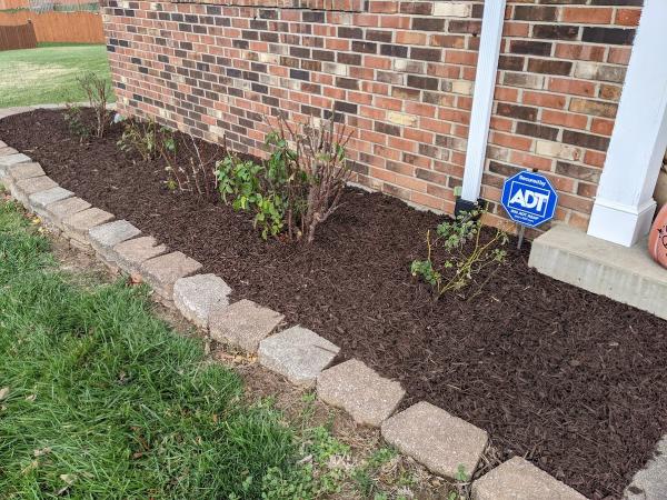 Wilson's Landscaping & Lawn Service