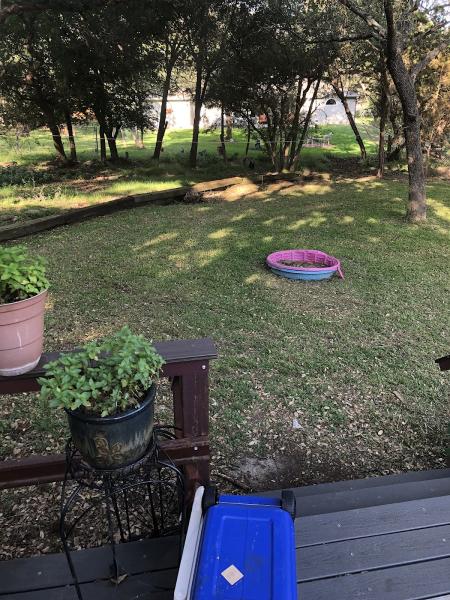The Family Tree Lawn Services