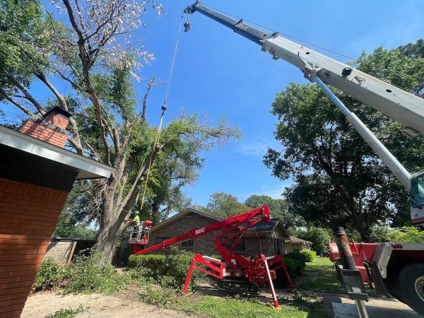 Treehugger Tree Service