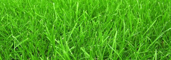 Malk Lawn Care LLC