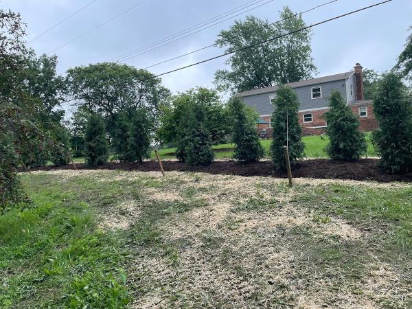 5 Star Landscaping