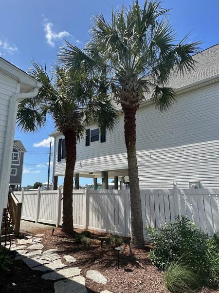 Provident Tree Solutions