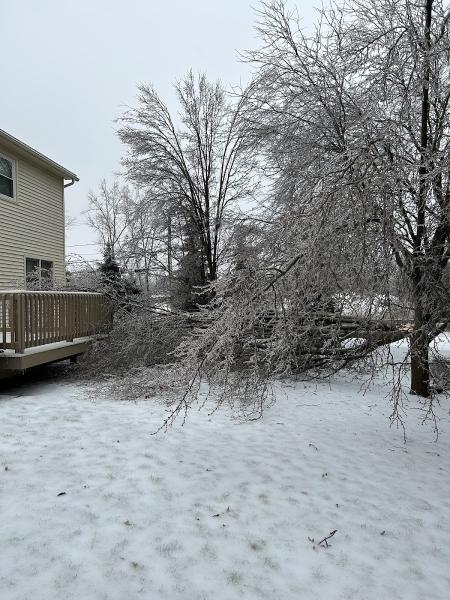 Paul's Landscaping