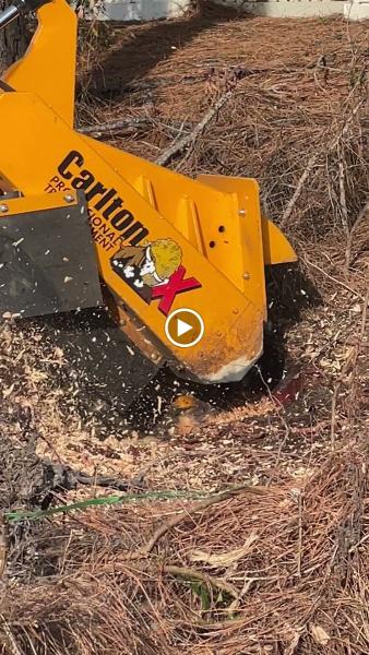 Stump Grinding by Steve
