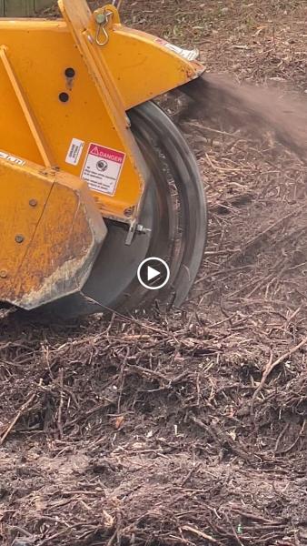 Stump Grinding by Steve