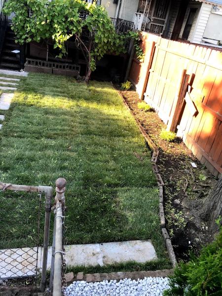 Admire Landscaping & Lawn Care