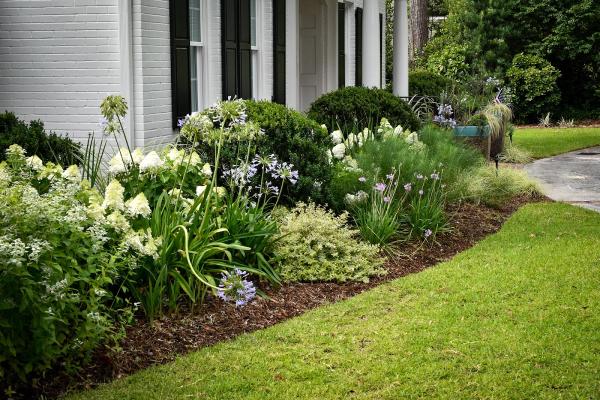 Bare Roots Gardening