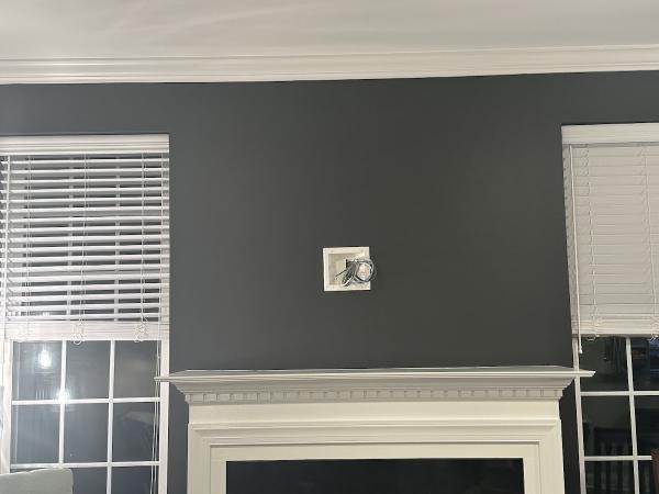 The Painters