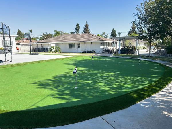 Green Turf