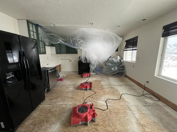 The Disaster Company