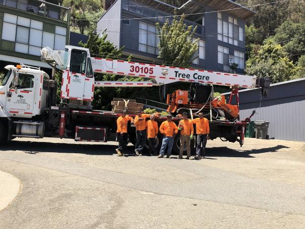 Julian Tree Care