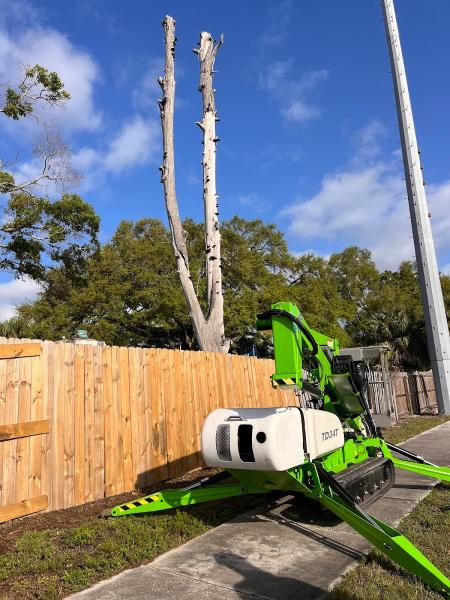 Slash Tree Service