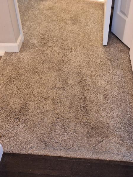 Duraclean Restoration & Cleaning Service