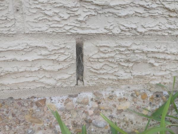 Ecosphere Home Solutions and Pest Control