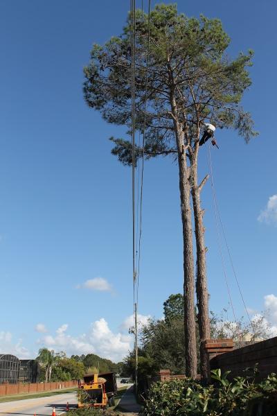 Karney Tree Service