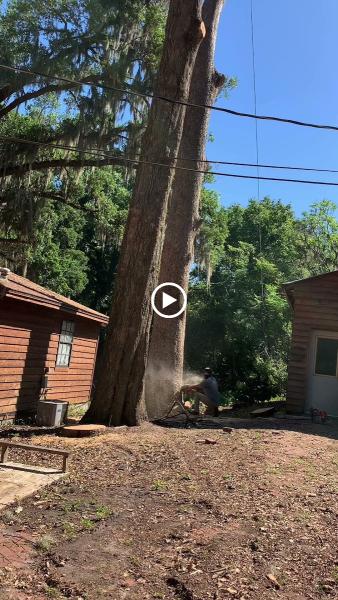 Karney Tree Service