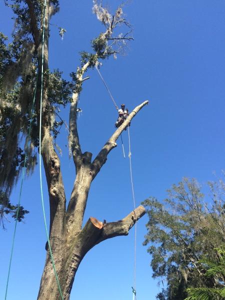 Karney Tree Service