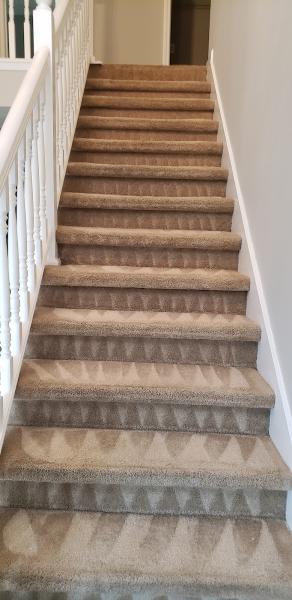 Busy Bee Carpet Cleaning Hiram