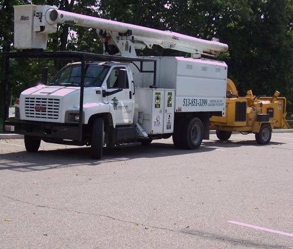 Arbor Design Tree Service
