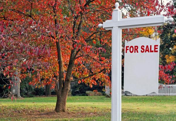 Tom Bolduc Real Estate