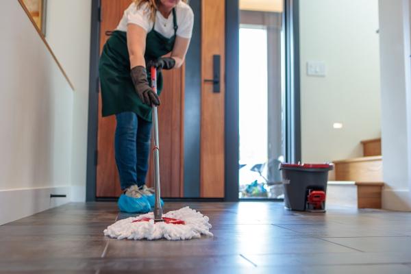 The Cleaning Fairies