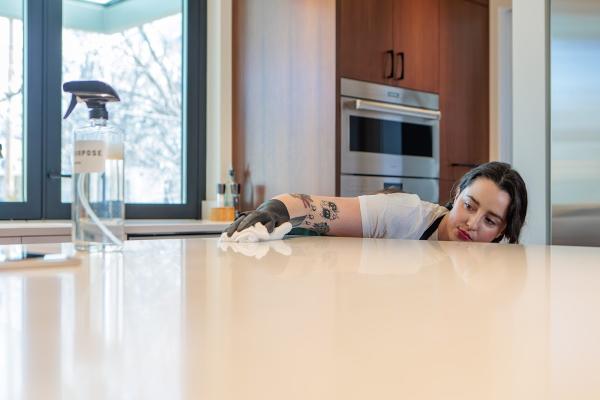 The Cleaning Fairies