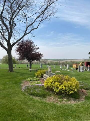 Kueter's Tree Service