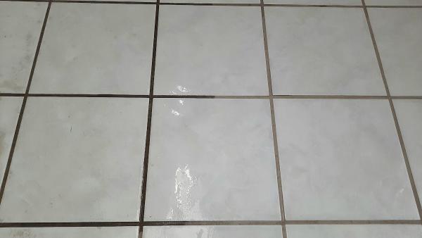 Steampro Carpet & Upholstery Cleaning LLC