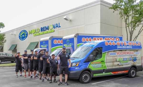 Miami Mold Removal Today