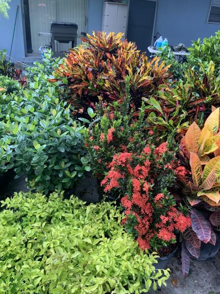 MIC Smith Landscaping